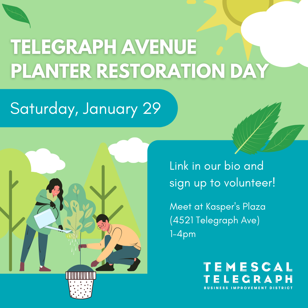 Telegraph Ave Planter Refresh Day