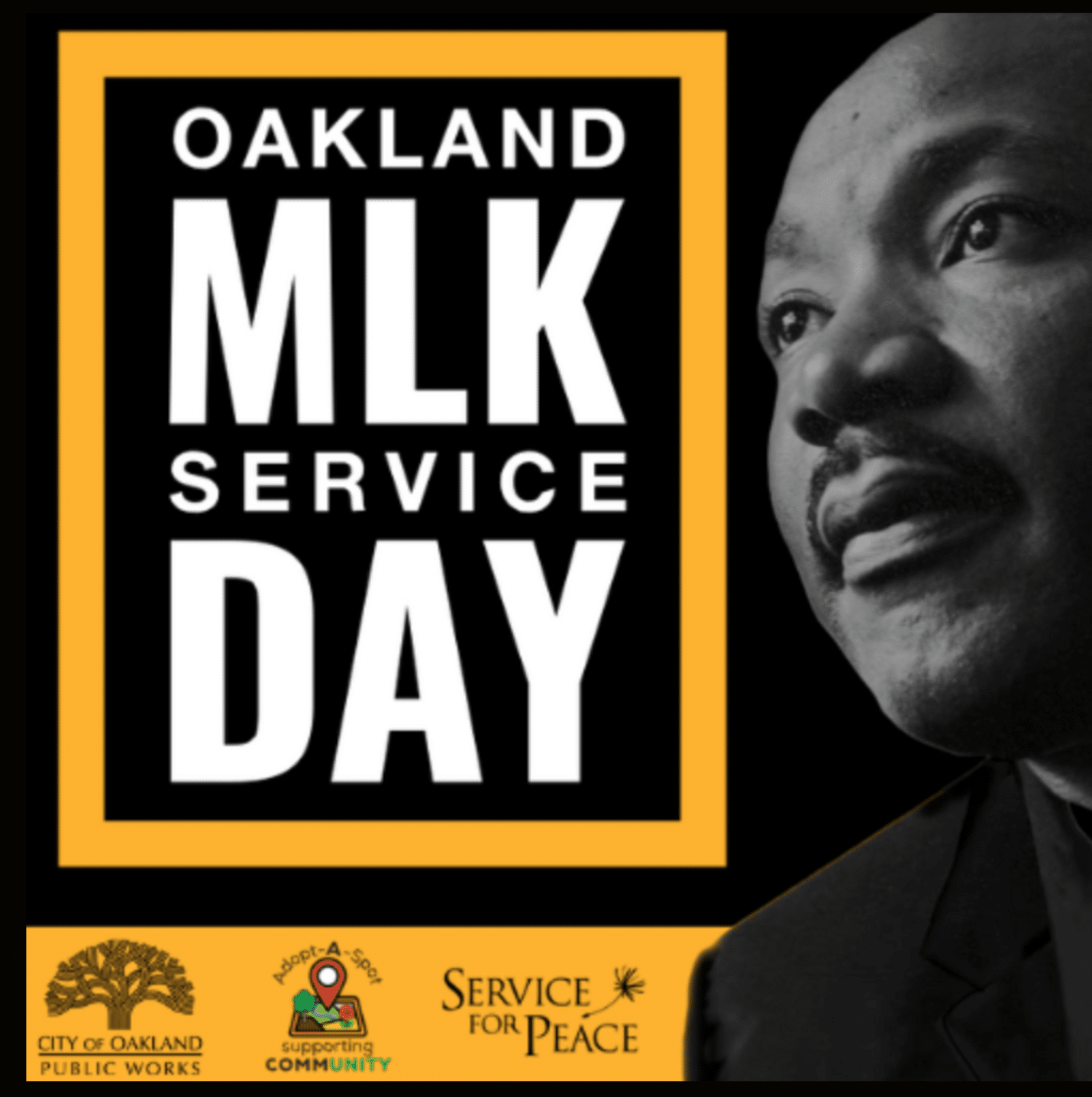 Temescal MLK Day of Service: Community Cleanup